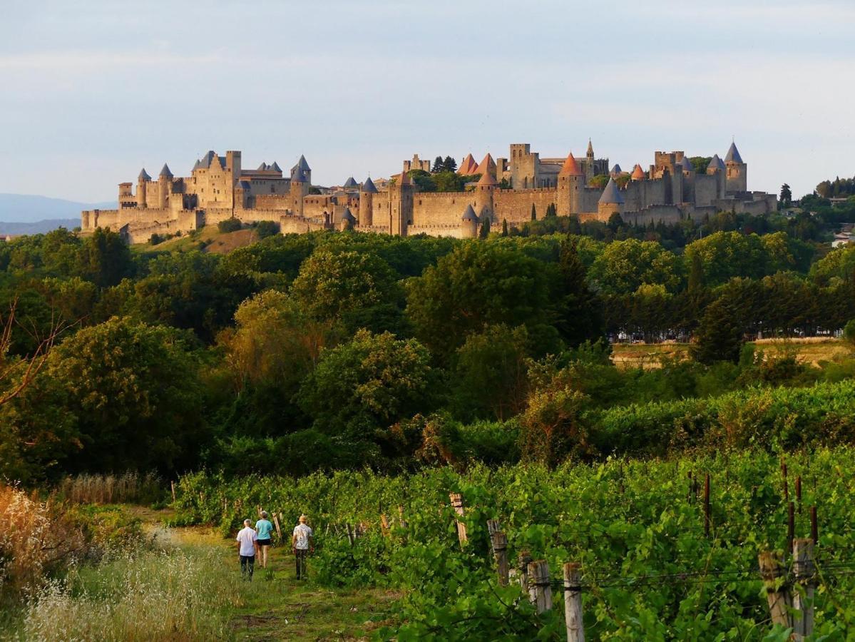 La Maison Des Chapeliers Carcassonne Luaran gambar
